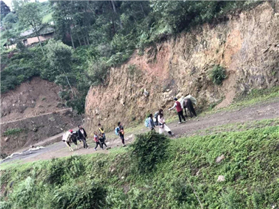 山路.jpg