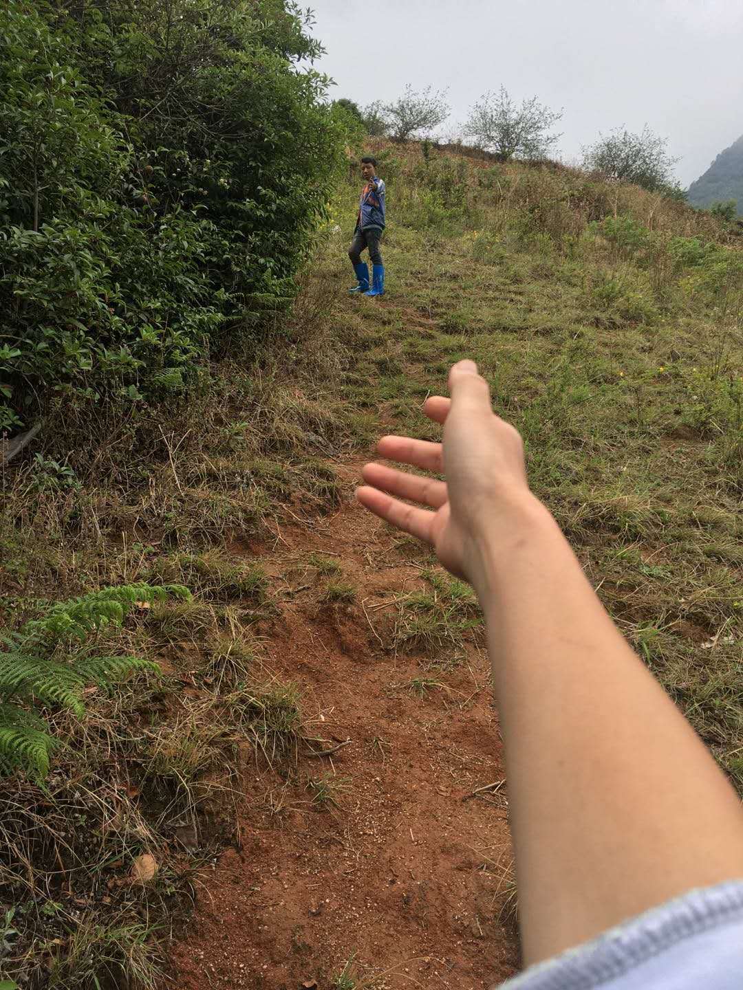 9.jpg 9.jpg