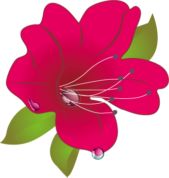 索玛花支教logo.png