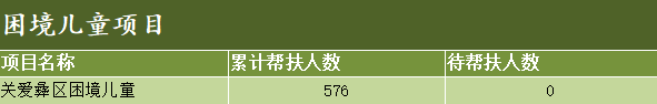 困境儿童项目.png