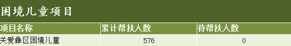 困境儿童项目.png