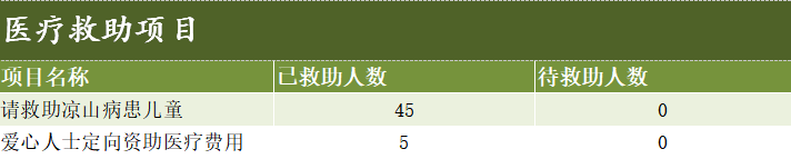 医疗救助项目.png