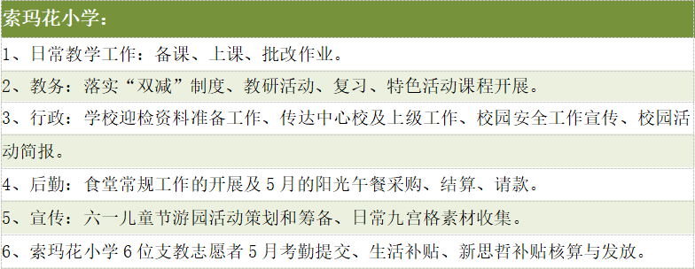 索玛花小学主要活动汇报.png