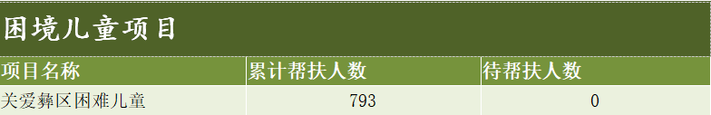 困境儿童项目.png
