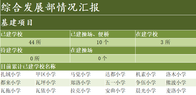 综合项目部情况汇报1.png