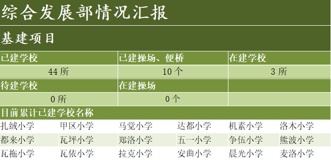综合项目部情况汇报1.png