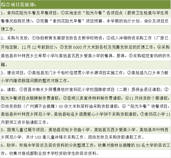 综合项目部主要活动汇报.png