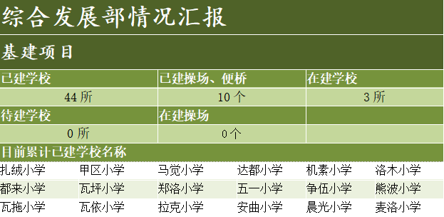 综合项目发展部情况汇报1.png