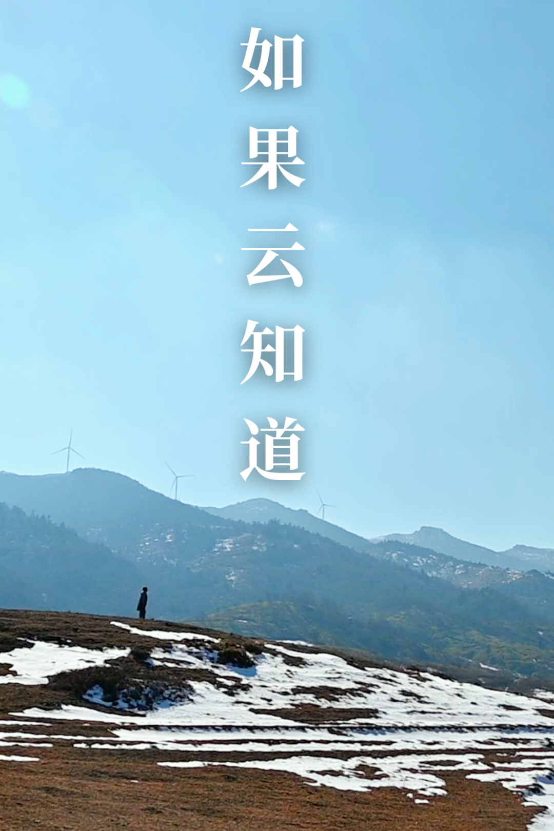 1676616521199141.png 1.png