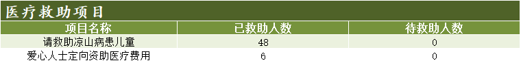 医疗救助.png