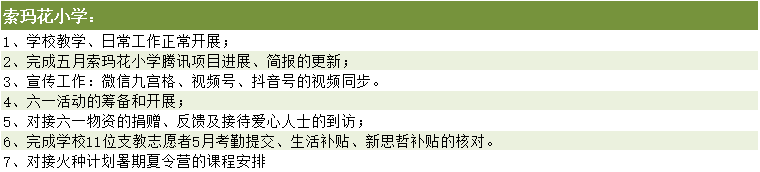 索玛花小学主要活动汇报.png