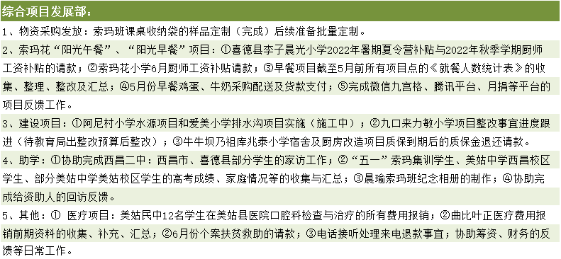 综合项目部主要活动.png