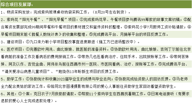 综合项目部主要活动.png