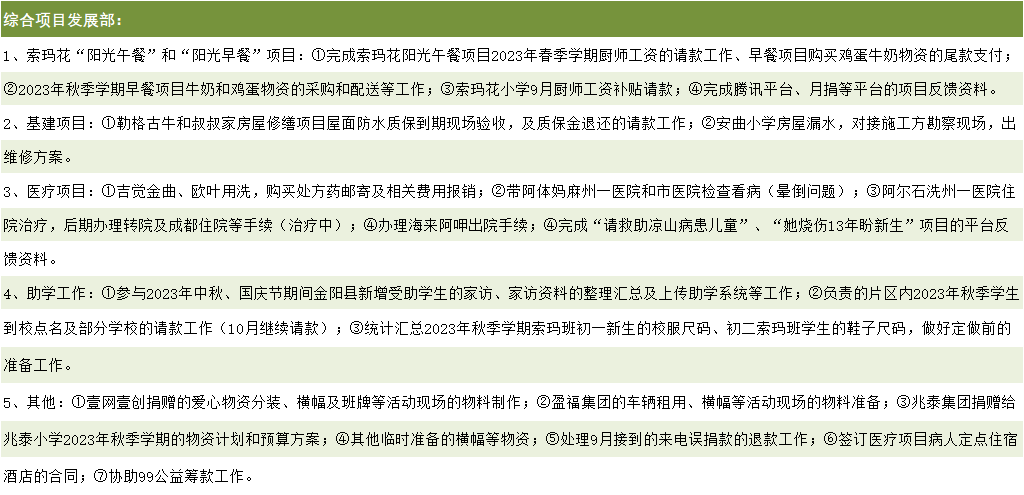 综合项目部主要活动.png