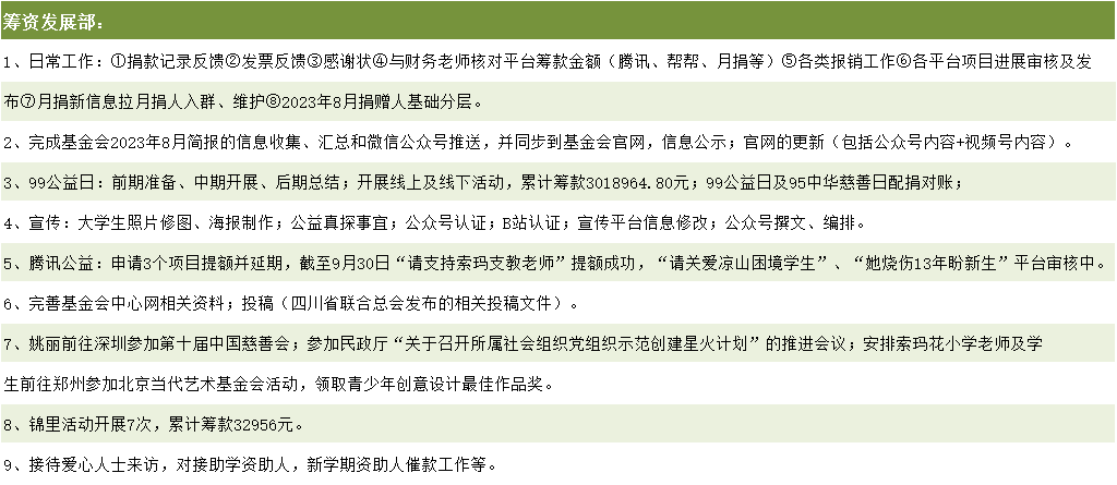 筹资发展部主要活动.png