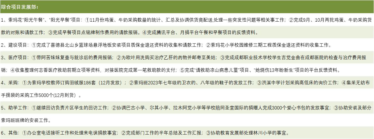 综合项目部主要活动.png