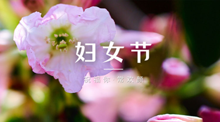 妇女节丨索玛“她”力量