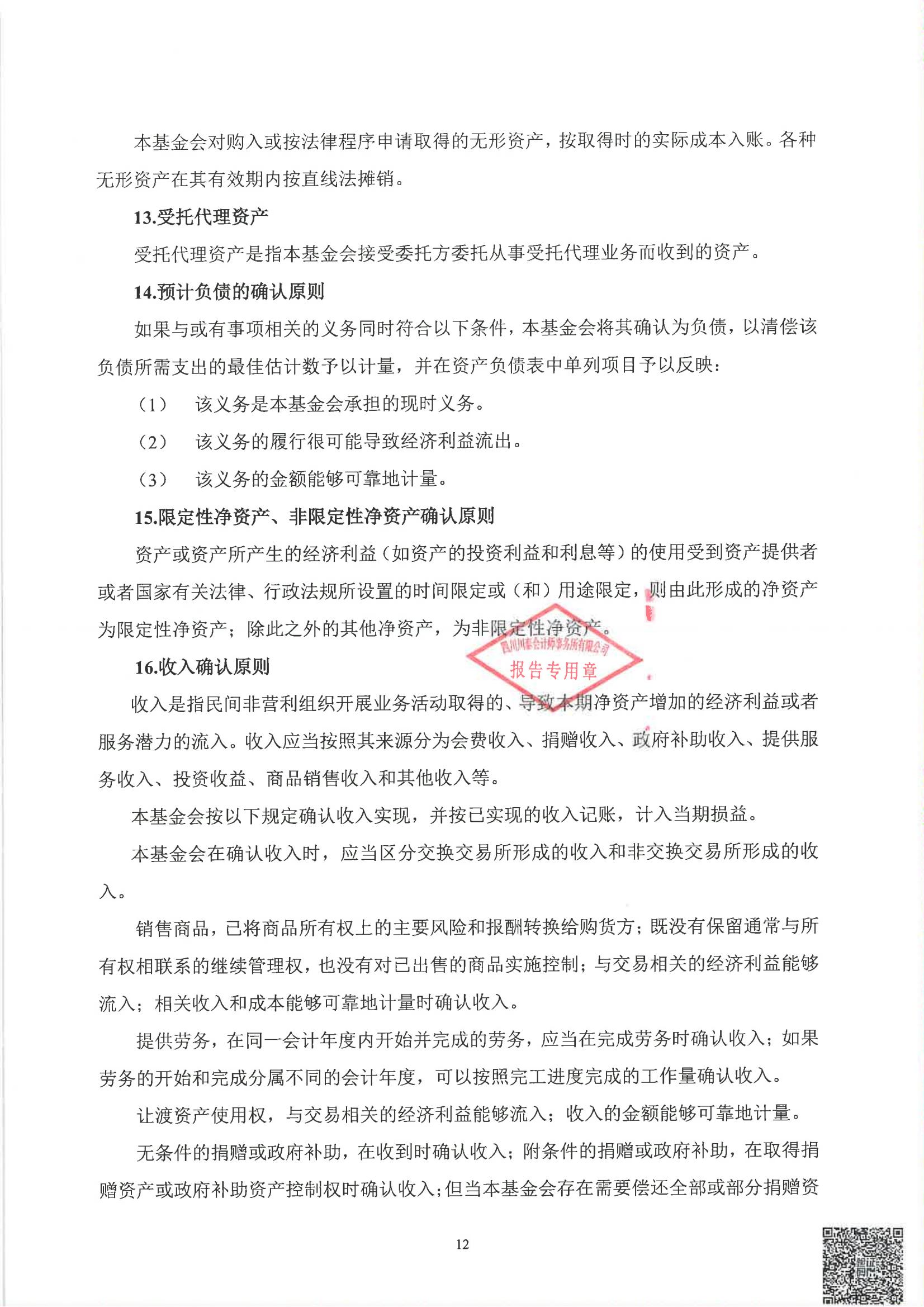 四川省索玛慈善基金会2024年度审计报告_13.jpg